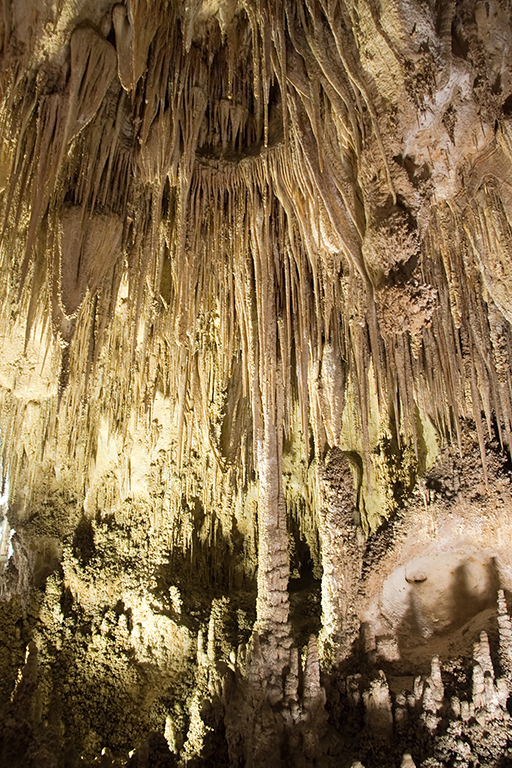 26_Carlsbad Caverns National Park_06.jpg